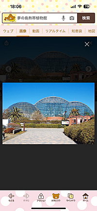 ⭐️東京にある南国熱帯植物園へ行こう🪴