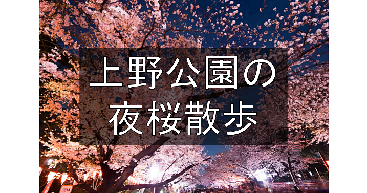 本数約800本、江戸時代からの桜の名所・上野の山で夜桜と交流を楽しみます♪