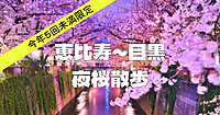 恵比寿～目黒の夜散歩。目黒川の桜も楽しみます♪