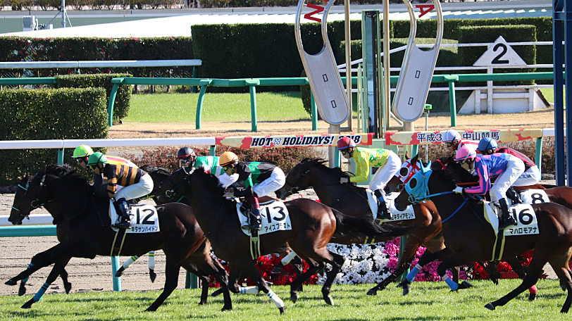 『🌟😊3/17（日）馬好きに朗報！「中山競馬場」に遊びに行こう♪♪初参加、初心者も歓迎♪😊🌟』