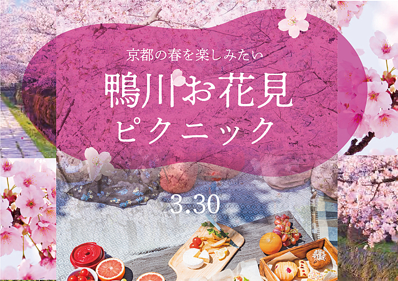 【3/30】🌸かもがわお花見ピクニック🌸桜あふれる京都の北山を歩こう✨