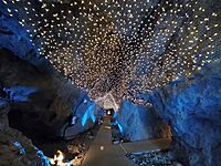 【先着4名無料】江ノ島の鍾乳洞へ行こう🚶