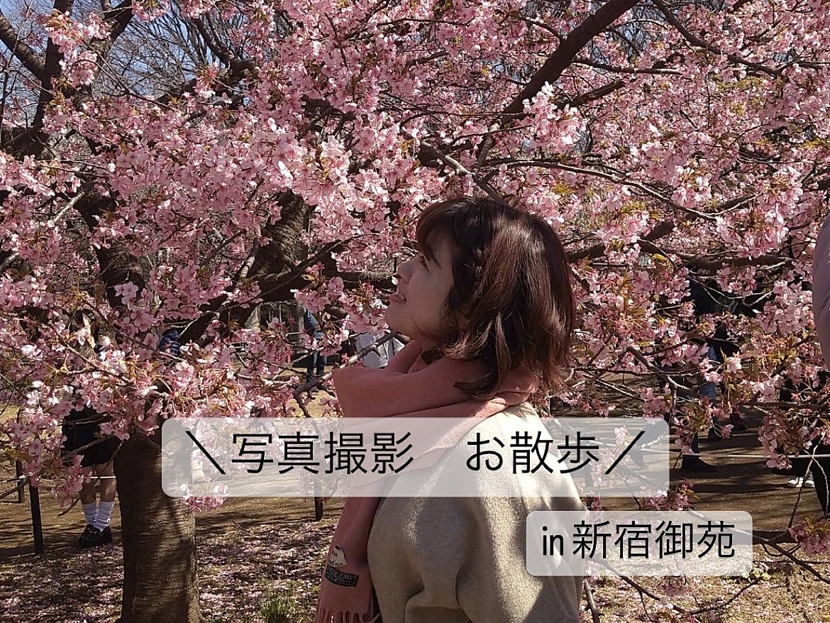 大人気企画！20代30代限定！今が時期の桜で春を満喫！新宿御苑で写真撮影！