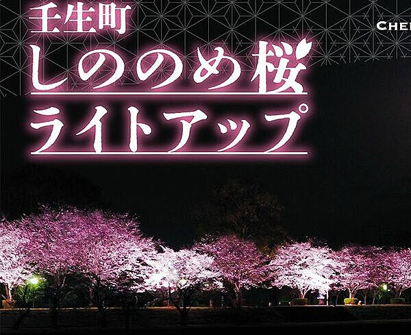 【壬生】4/6(土) 夜桜&グルメ交流会🍖