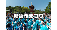 関東三大不動の一つ高幡不動と「ひの新選組まつり」に行きます♪