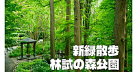 林業試験場の跡地。他の公園では見られない新緑の中で散歩を楽しみます♪