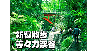 【新緑散歩】世田谷区にある渓谷「等々力渓谷」で新緑を楽しみます♪