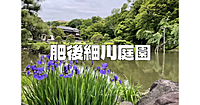 54万石の大名・肥後細川家の池泉回遊式庭園で新緑散歩を楽しみます♪肥後細川家についても学びます。
