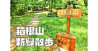 新宿区の箱根山登山と新緑散歩。江戸時代からある古い庭園「甘泉園」にもいきます。