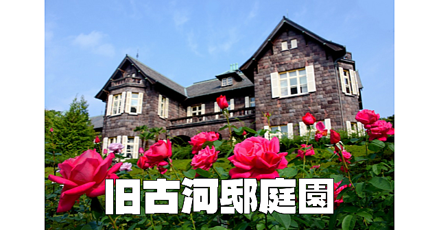 旧古川邸庭園でバラと建築と歴史と庭園散歩を楽しみます♪