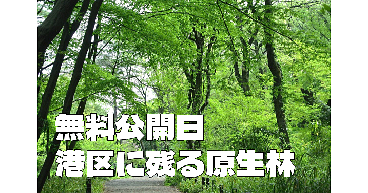 【無料公開日】武蔵野の原生林が茂る港区白金台の森林緑地で新緑の大自然を満喫します♪