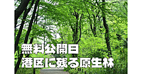 【無料公開日】武蔵野の原生林が茂る港区白金台の森林緑地で新緑の大自然を満喫します♪