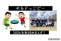 【20〜30代】男女で懐かしのドッヂビー🥏/ほぼ未経験/運動音痴大歓迎/1人参加歓迎/地方出身者多数