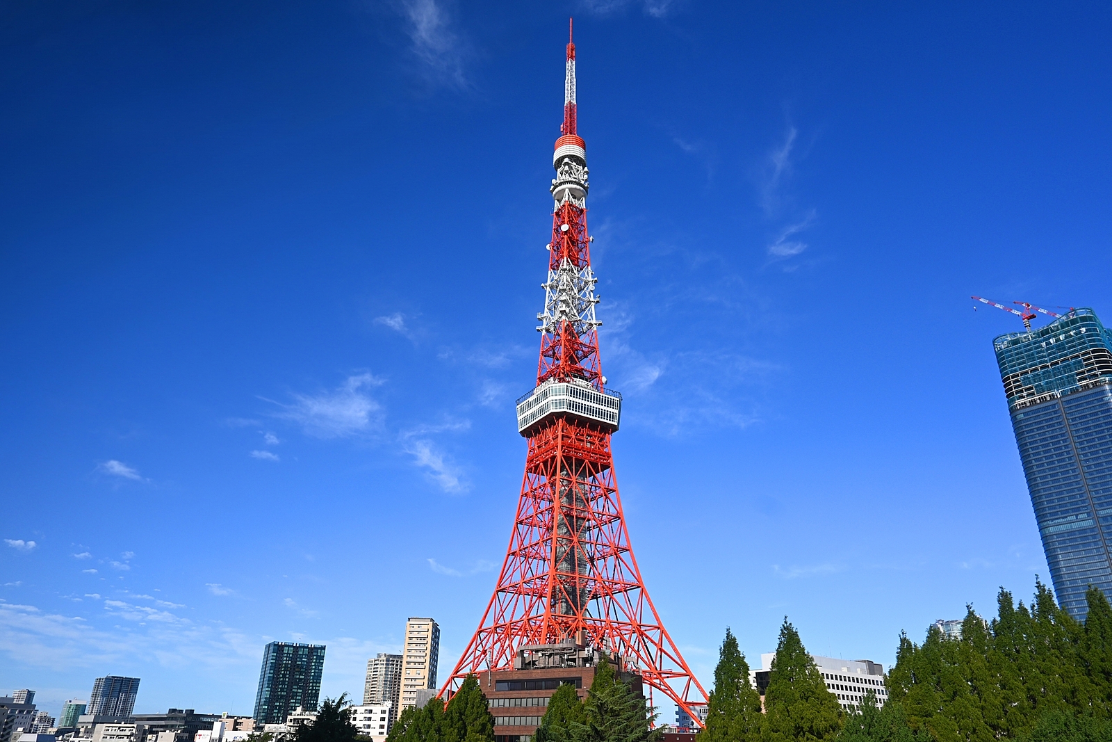【20代限定✨】東京タワー近くを散歩して、モーニングを食べよう🗼@芝公園