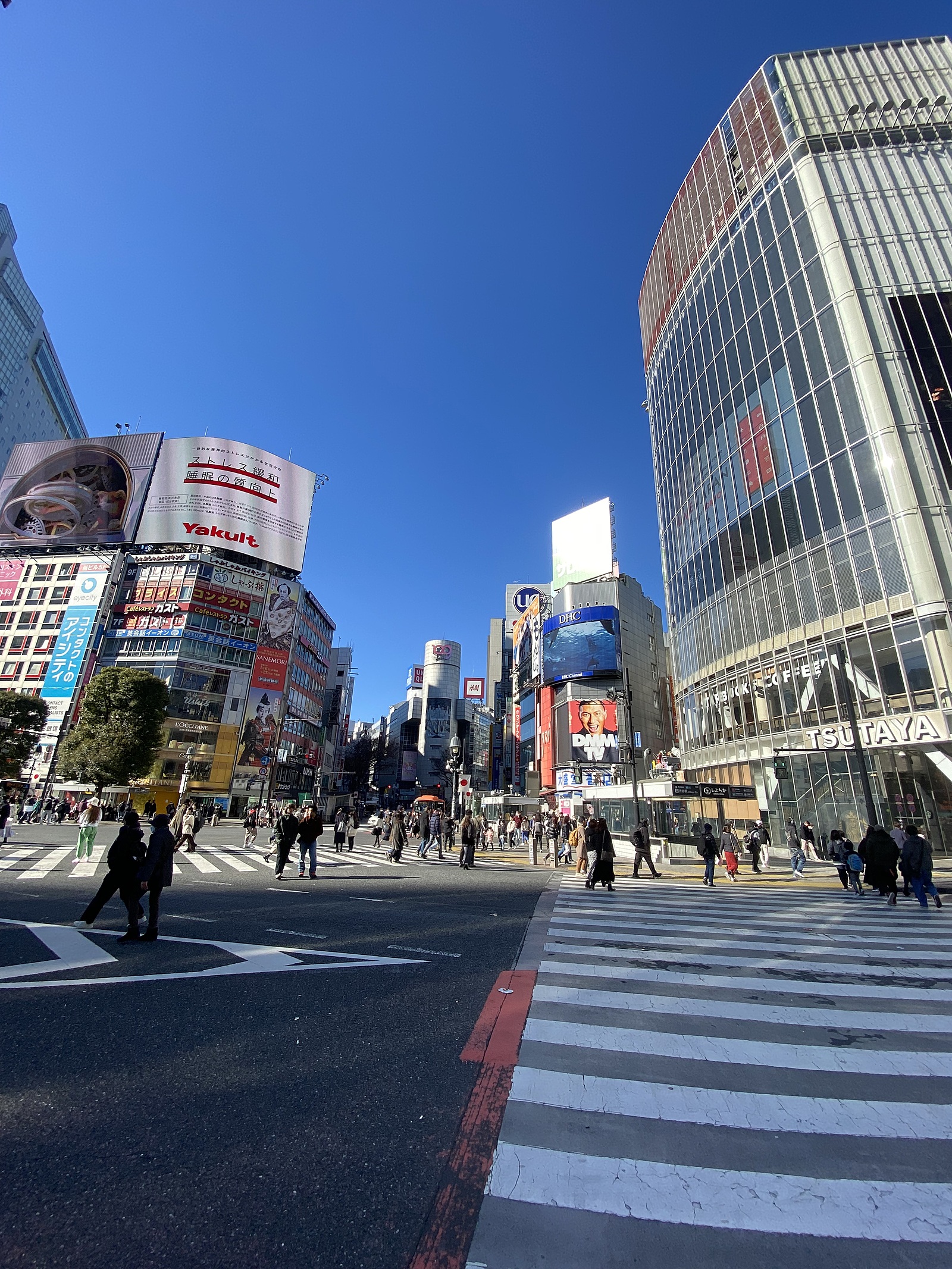 3/17(日)10:30頃、渋谷のかつお食堂で、鰹節飯を食べませんか？