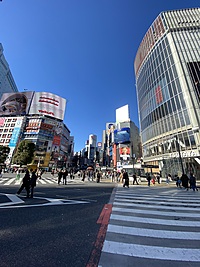 3/17(日)10:30頃、渋谷のかつお食堂で、鰹節飯を食べませんか？