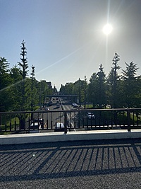 3/20(水祝)11時30分頃、駒沢公園で1時間くらいランニングしませんか？