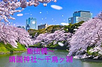 【女性主催、女性限定】（集合時間変更）わくわくウォーキング女子会