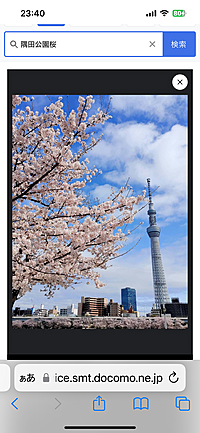 ⭐️開催確定20代30代の方限定⭐️浅草隅田公園桜鑑賞🌸