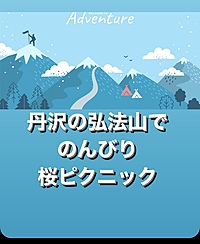 【丹沢の弘法山】満開の桜を見ながら楽しむピクニック！初心者歓迎🌸🌿