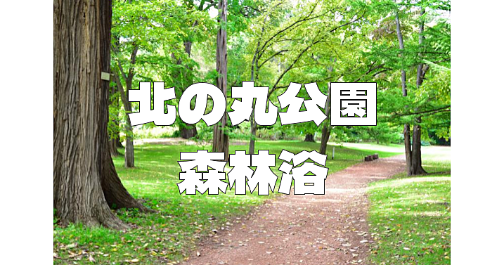 【新緑散歩】家康が築いた江戸城北の丸。さまざまな種類の木々が生い茂っています。野鳥観察もあり♪