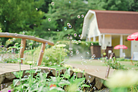 🔰①写真や動画を学びながら撮影をしましょう📸