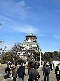 【大阪城ウォーキング🌸】桜つぼみ早咲きを見るチャンス✨
