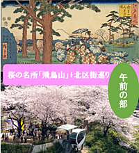 【午前の部】飛鳥山の桜+北区街巡りをしよう（説明・解説有）