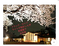 【明日館×お花見】歴史と自然が織りなす特別な春の一日🌸✨