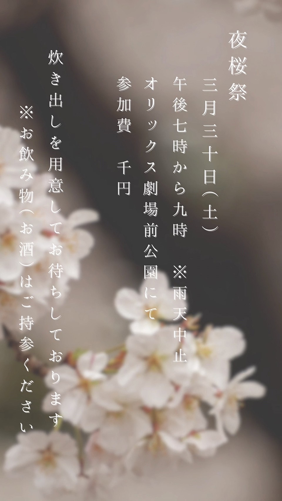 【夜桜×友達作り】満開の桜の下で楽しい交流を楽しもう🌸🌙