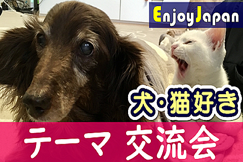 ✨　今月お薦め　✨4/29(月)14:30東京都・新宿「犬・猫好き」交流会1