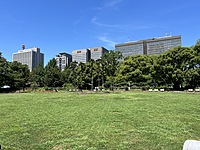 【20代前半主催】花咲く日比谷公園で朝活春散歩×ピクニック！