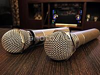 (20〜30代)みんなでカラオケ🎤