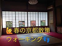 🌸春の京都散策　雲龍院〜瀧尾神社🌿