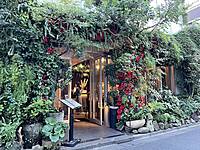 【先着3名無料】フラワーカフェに行こう🐤🐤