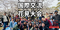 花見国際交流会：※英語喋れなくてもOK