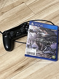 モンハンワールドアイスボーンを一緒に遊びませんか？