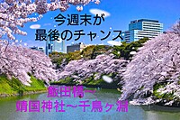 【女性主催、女性限定】わくわくウォーキング女子会