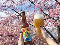 【上野公園×花見】春の訪れを感じながら酒！酒！酒！と共に楽しむ花見飲みイベント🌸🍶