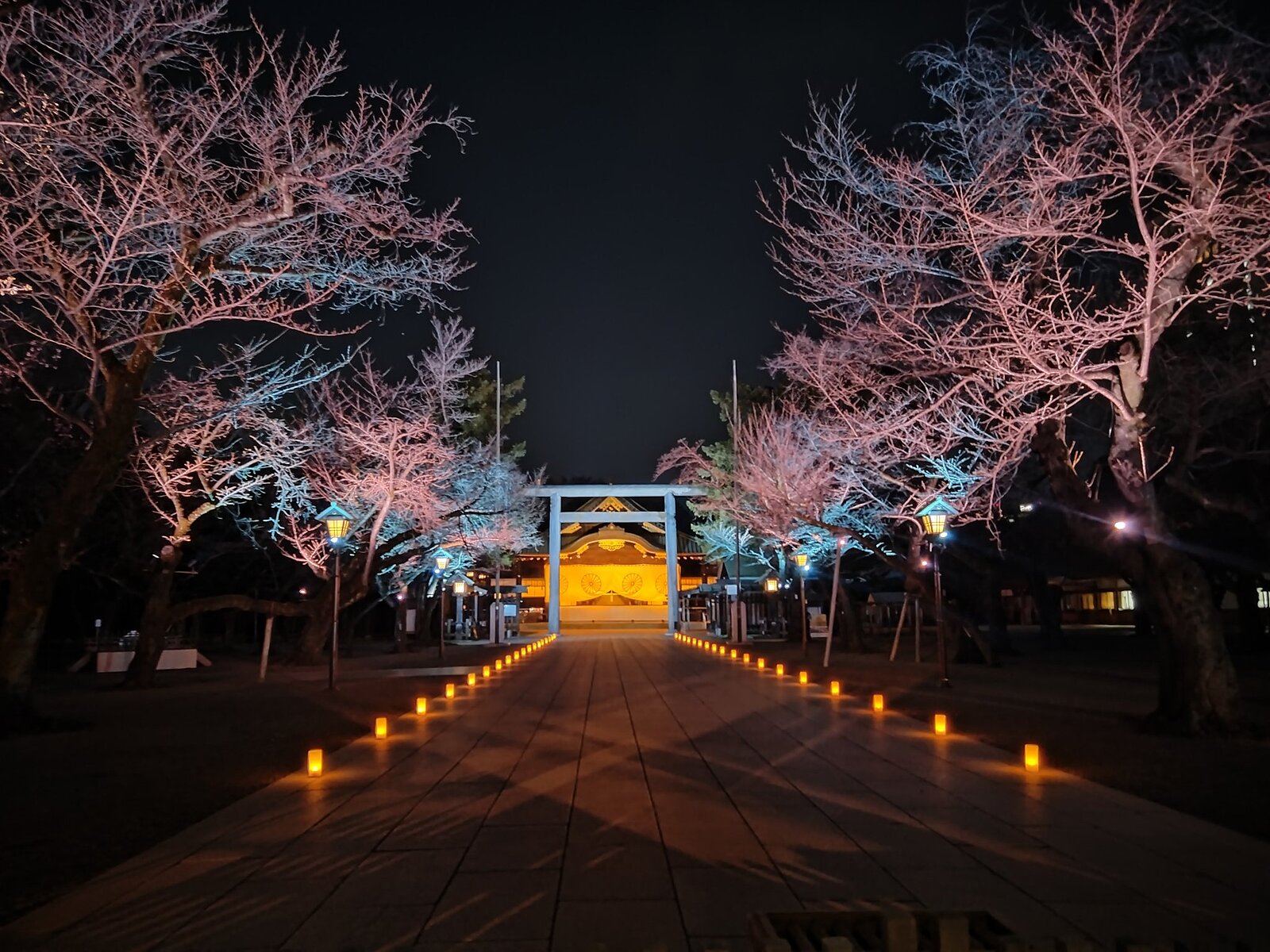 靖国神社の夜桜詣と千鳥ヶ淵緑道の桜ライトアップを撮りに行こう！