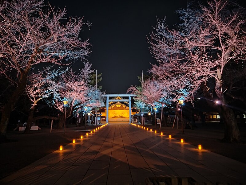 靖国神社の夜桜詣と千鳥ヶ淵緑道の桜ライトアップを撮りに行こう！