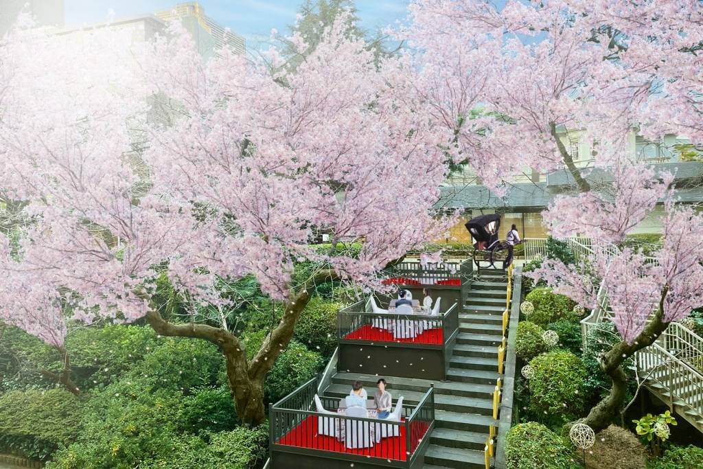 【早割中】早咲きの桜を見に行こう🦊🦊