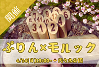 4/14(日)13時【プリンを食べながらモルック🍮持ち物不要🍮運動音痴歓迎🍮】一緒に作戦を考え仲良くなろう！