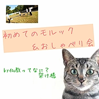 【名古屋開催！20,30代限定】初めてのモルック＆おしゃべり会