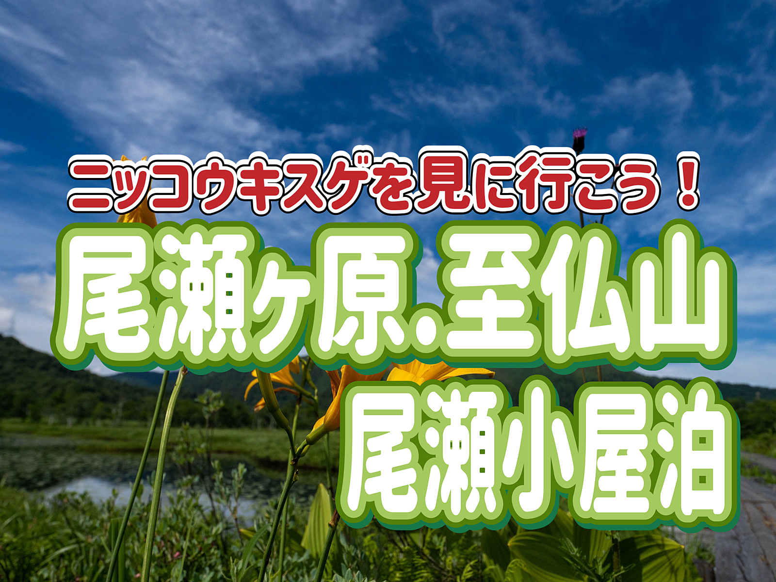 7/20.21◎尾瀬／一泊二日◎人気の尾瀬小屋に泊まってニッコウキスゲを見に行こう！