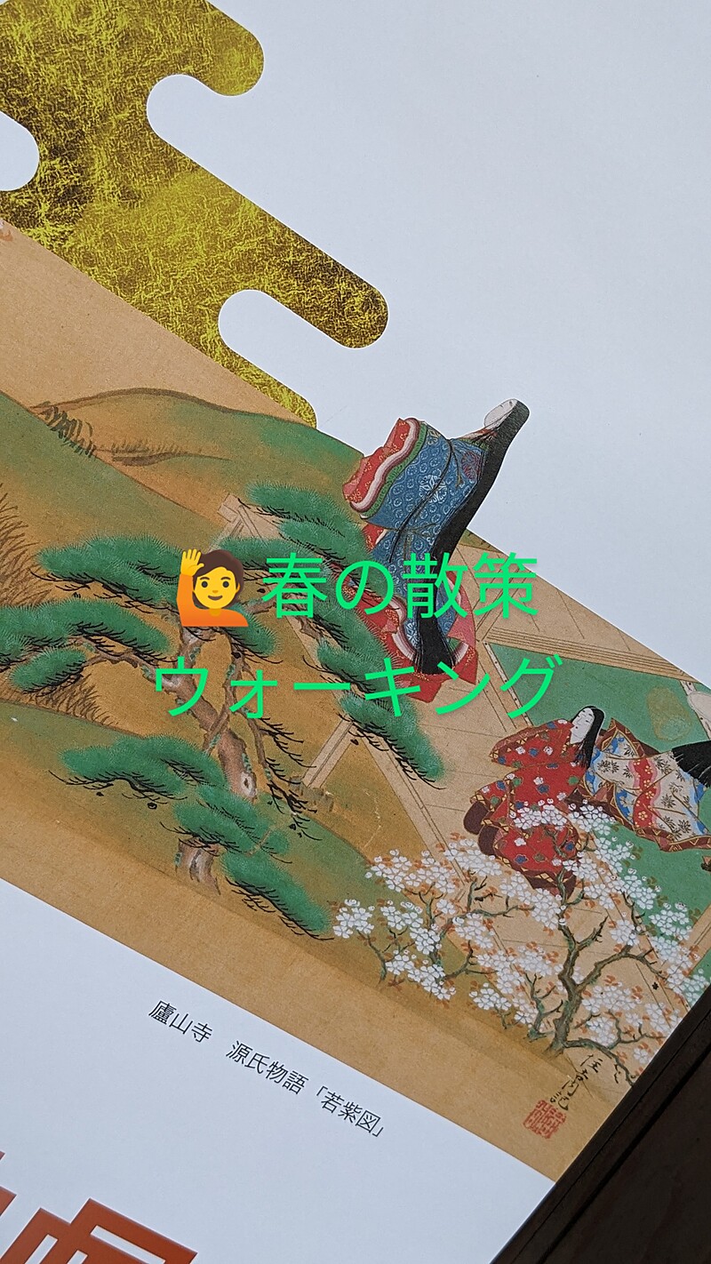 【春の京都】下鴨神社界隈.散策ウォーキング