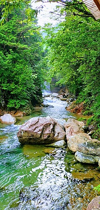 板取川の近くでバーベキューをやります！！！