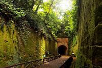 【GW✖︎猿島】ラピュタのような摩訶不思議な無人島へ行って思い出を作ろう🌿🌊