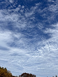 【気楽に囲碁】青空の下で囲碁を打ちませんか【途中入退出可】🌸