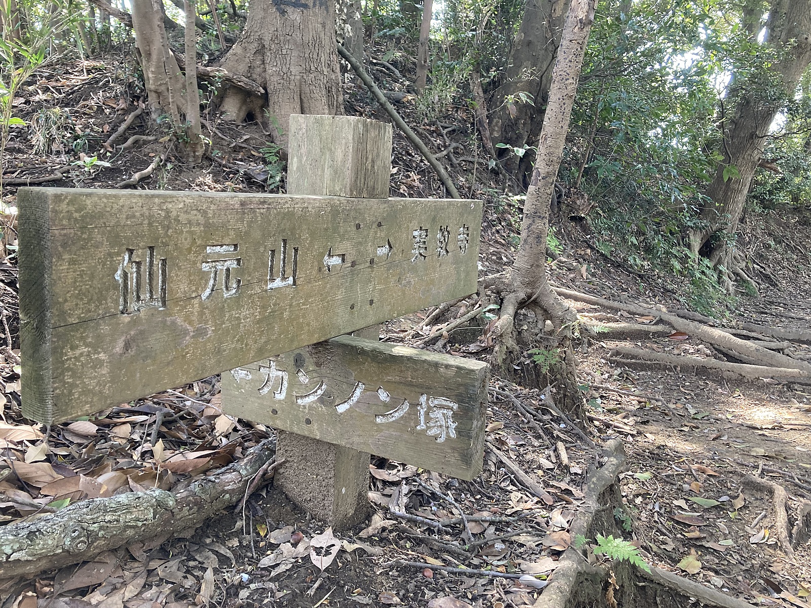 【番外編】逗子右回り満腹コース